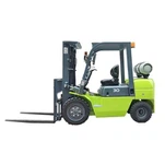 Caminhão de empilhadeira a diesel de alta qualidade da empilhadeira a gasolina de alta qualidade